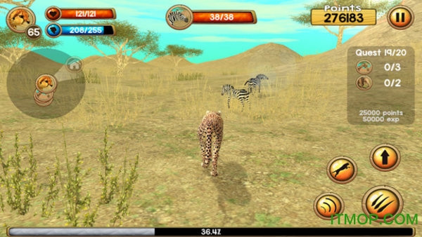 ԱģϷ°(cheetah sim) v1.1 ׿2