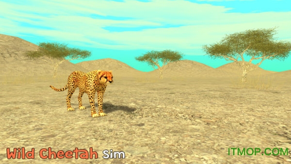 ԱģϷ°(cheetah sim) v1.1 ׿ 3