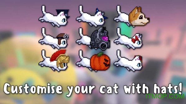 è°(Bubbles the Cat) v1.0.14 ׿ 2