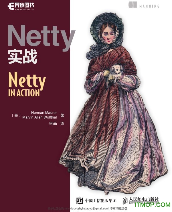 nettyʵսİpdf  0