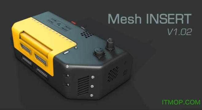 Mesh InsertѰ