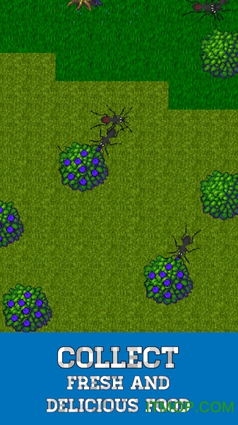 ΛρģM(Ant Evolution) v1.2.925 ׿ 3