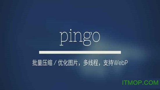 pingo