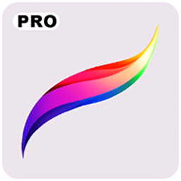 Procreate Pro