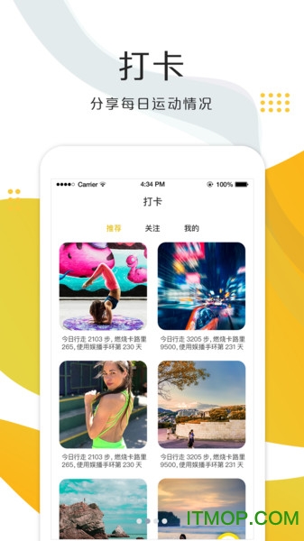 鲥 v1.3.0 ׿ 3