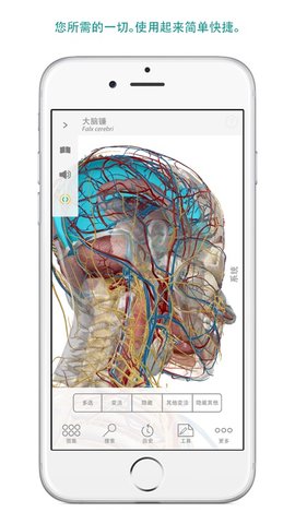 human anatomy atlas 2020