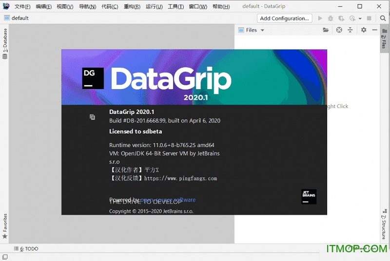 JetBrains DataGrip 2020 v2020.1 Ѱ 0