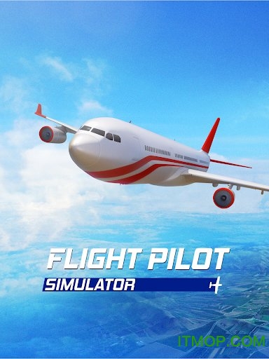 flight pilot simulator 3dϷ