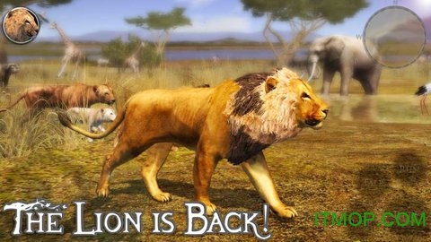 ռʨģ2(Ultimate Lion Simulator 2) v1.1 ׿ 0