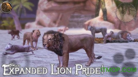 ռʨģ2(Ultimate Lion Simulator 2) v1.1 ׿ 1
