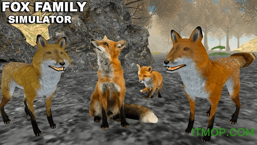 ģ(Fox Family Simulator 2020) v1.0 ׿0