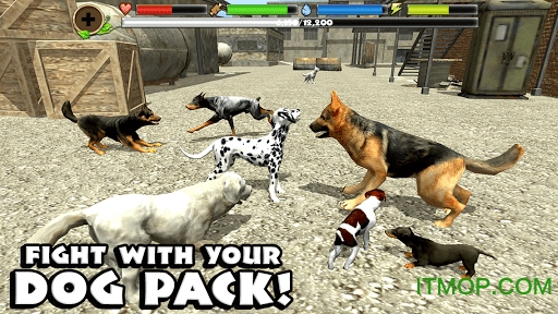 ˹ģϷ(dog simulator) v1.2 ׿İ 0