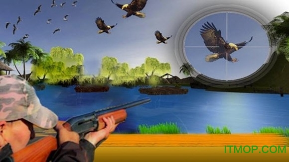 ʦ(Bird Hunting Master) v0.1 ׿ 0