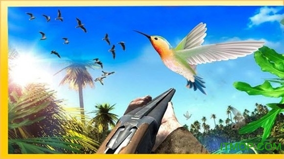 ʦ(Bird Hunting Master) v0.1 ׿ 2