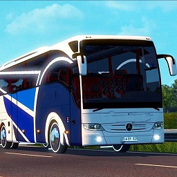 挍ʿģM(big real proton bus simulator 2020)