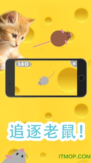 ϷΪè(Games for Cats) v1.4.3 ׿ 0