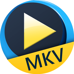 MKVAiseesoft Free MKV Player