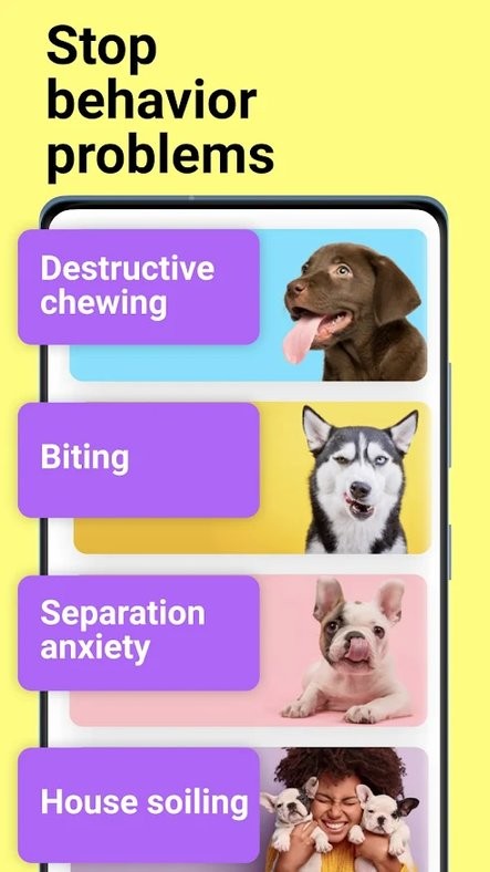 everydoggyg app