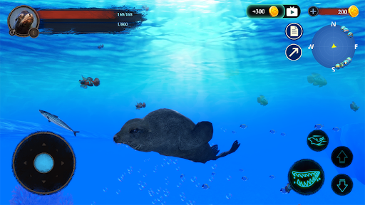 ʨģ(The Sea Lion) v1.0.3 ׿ 1