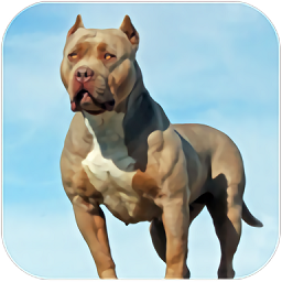 ȮģM°(pitbull dog simulator )