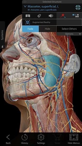 atlasѧͼ2023°(Human Anatomy Atlas 2023) v2023.0.09 ׿2