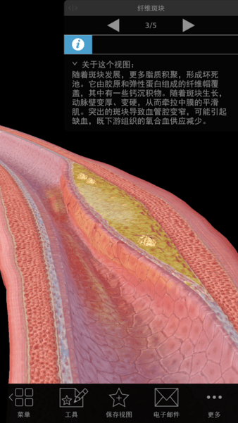 ͲW(xu)ѸM(fi)ȸЈ(chng) v1.1.06 ׿?j)?ni)ُ(gu)汾 0