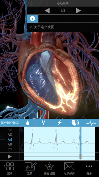 Ͳѧ(PhysiologyPathology) v1.1.10 ׿ 3