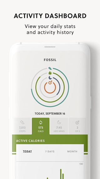 fossil hybridֱ v4.6.1 ׿1