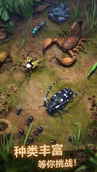 ССρٷ֙C(The Ants) v1.48.0׿ٷ֙C 0