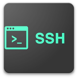 Mobaxterm SSH app