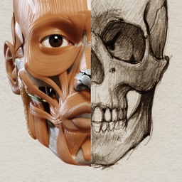 ֮3Dͼ(3D Anatomy for the Artist)