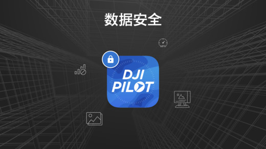 dji pilot pe