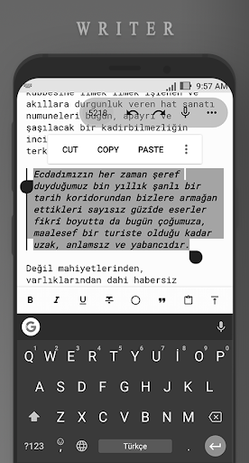 Writerı༭ v3.0.6 ׿2