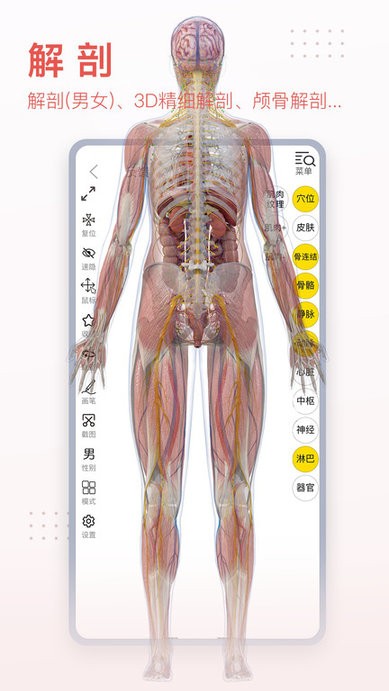 3dbodyѧapp v8.7.70׿0