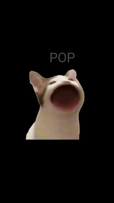 popcat啵嘴猫