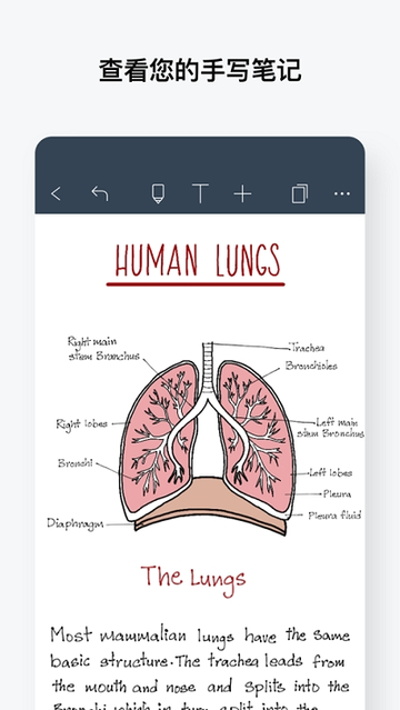 ΪƽNoteshelf v4.17 ׿ 0