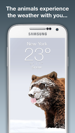 Wildlife Weather v5.3.9 ׿ 3