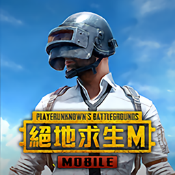 ̨(PUBG MOBILE)