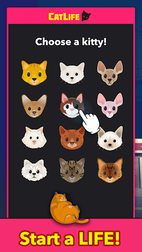 èģ(CatLife) v1.0.0 ׿2