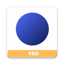 SafeDot pro