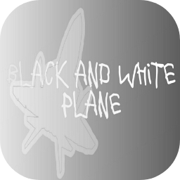 ڰֽɻϷ(BlackWhiteAirplane)