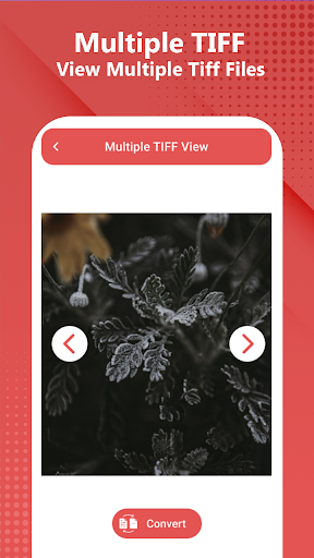 Tiff鿴app(Tiff Viewer) v1.0.2 ׿ 1