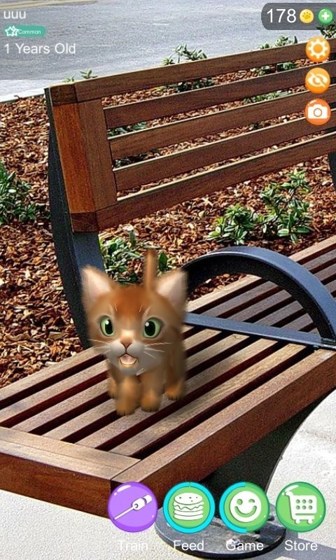 ARèϷ(AR Cat) v1.0.8 ׿1