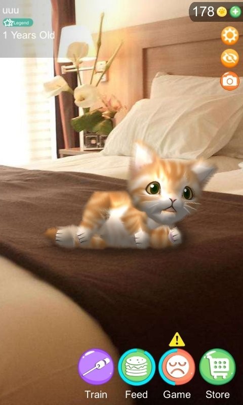 ARèϷ(AR Cat) v1.0.8 ׿3