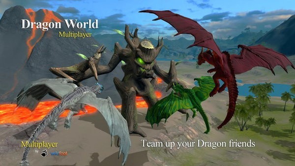 ռģֻİ(dragon multiplayer) v2.0.1 ׿ 3