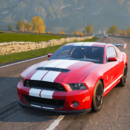 Ұģ(Shelby Muscle Driver)
