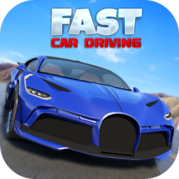 ʻģ(Fast Car Driving)
