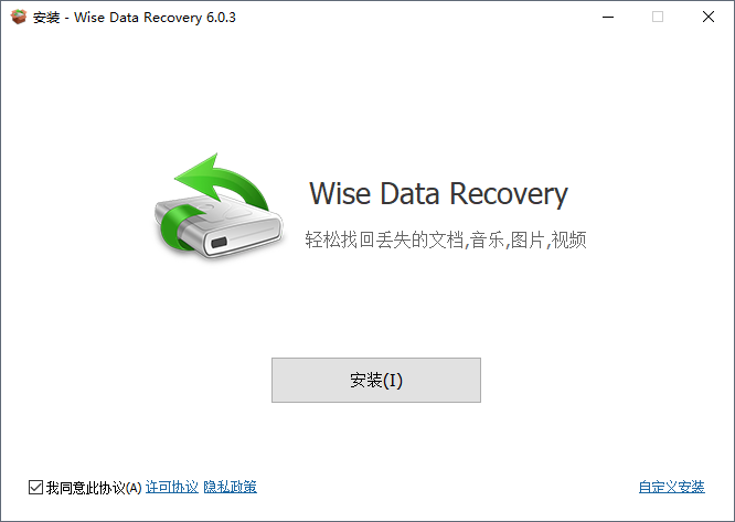 Wise Data Recoveryݻָ v6.0.3 ٷװ 0