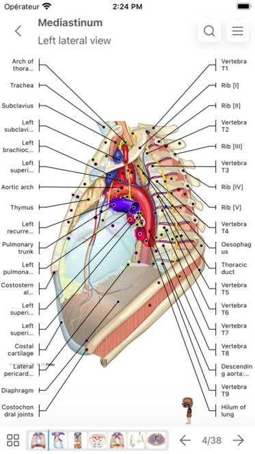 e-Anatomyİ v4.2 ׿ 0