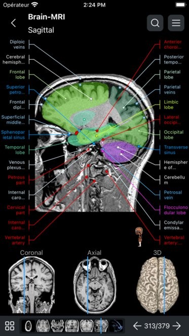 e-Anatomyİ v4.2 ׿ 1